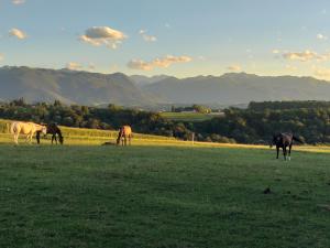Appartements LES 3 COLLINES Gites, Panorama sur les Pyrenees : photos des chambres