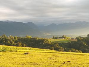 Appartements LES 3 COLLINES Gites, Panorama sur les Pyrenees : photos des chambres