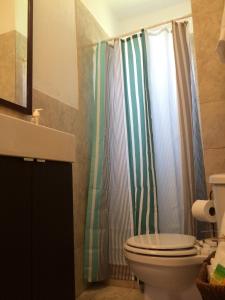 Cozy Studio near Coconut Grove