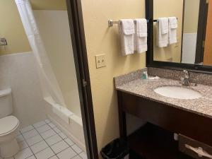 King Suite - Non-Smoking room in Quality Inn Bolingbrook I-55