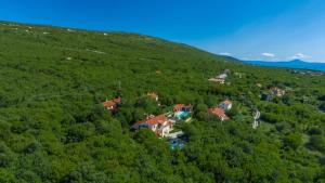 Villa Biljana Vlakovo