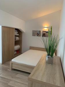 Apartament Stone Podczele Kołobrzeg