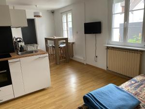 Appartements Jacuzzi Privatif Strasbourg : photos des chambres