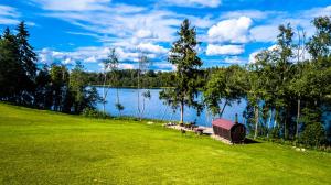 Järveoru