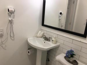 Private Studio blocks from Coconut Grove