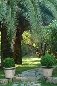Miramar Corsica photo 12