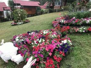 ภูน้ำทิพย์ รีสอร์ท - Campson