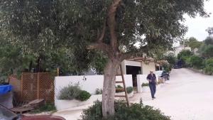 tzogias apartments nonna studio