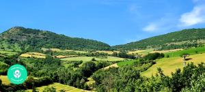 Hotels Campanile Millau : photos des chambres