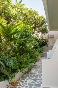 Aris Hotel Chania Greece