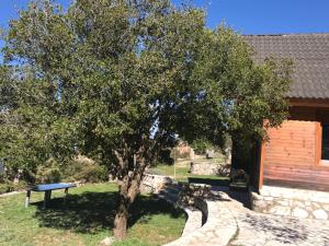 Chalet in the Forest Achaia Greece