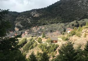 Chalet in the Forest Achaia Greece