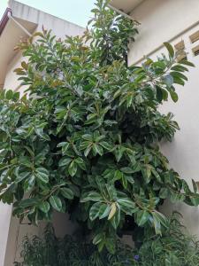 Апартаменти Оперний театр у самому Центрі