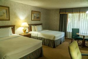 Queen Room with Two Queen Beds room in Hotel Piccadilly