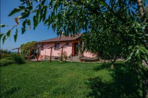 Panorama Vegapansion