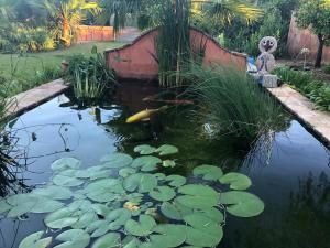 Appartements Studio Bord de Mer (Wifi + Netflix) : photos des chambres