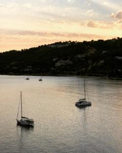 Meltemi by Manthos Hotels Skiathos Greece