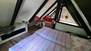 Belle - Mooi Zuid Limburg