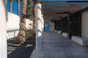 Beautiful studio on the seafront