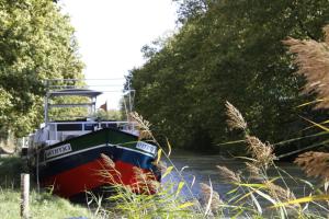 Bateaux-hotels peniche Le Black Mountain : photos des chambres