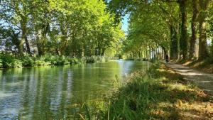 Bateaux-hotels peniche Le Black Mountain : photos des chambres