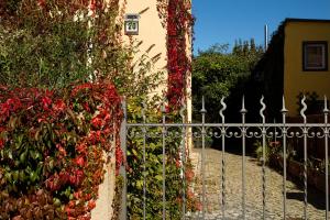 Frank´s Ferienwohnung in Dresden