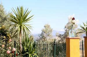 Casa Rural Huerta la Lapa