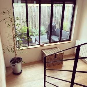 Villas Nono’s Cocoon House : photos des chambres