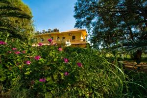 Rooms Leonidas Chania Greece