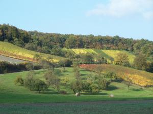 Weinhof Grosch
