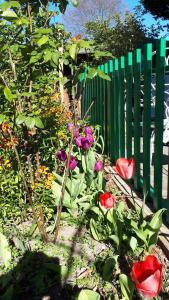 Sejours chez l'habitant Le Jardin des Merveilles : photos des chambres