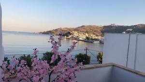 Petridi Maria Suites & Apartments Patmos Greece