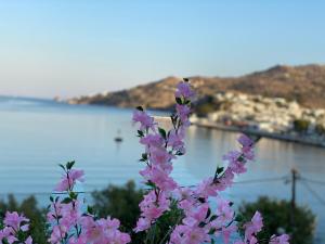 Petridi Maria Suites & Apartments Patmos Greece