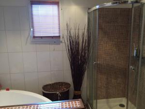 Villas BEAUN'MAISON Spa Piscine Borne electrique : Villa 2 Chambres