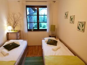 Apartament Bambusowy