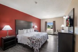 Red Roof Inn & Suites Austin East - Manor - 普弗拉热维尔