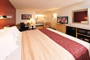 Superior King Room Smoke Free room in Red Roof Inn Detroit - Warren