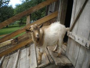 Pri Lazarju Farm Stay 