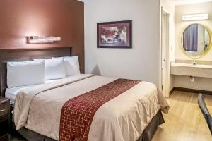 Deluxe Room with One Queen Bed Non-Smoking room in Red Roof Inn Columbus - Taylorsville