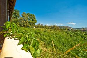 Rooms Leonidas Chania Greece