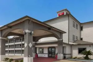 Red Roof Inn PLUS + Galveston - Beachfront - 加尔维斯敦