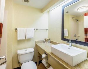 Standard King Room - Smoke Free room in Red Roof Inn PLUS+ West Palm Beach