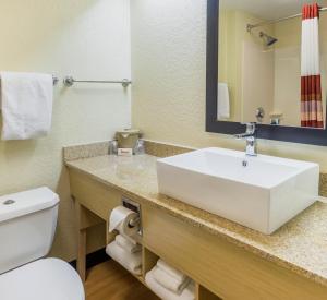 Premium Double Room with Two Double Beds - Smoke Free room in Red Roof Inn PLUS+ West Palm Beach