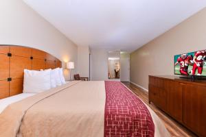 Superior King Room Non-Smoking room in Red Roof Inn Chambersburg