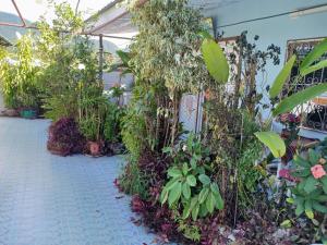 Sabaydee House at Pai