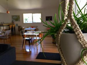 Sunny Side Up B&B Rye