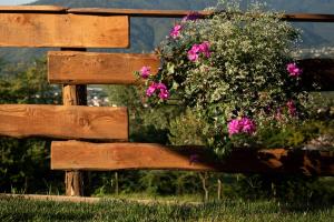 Agriturismo Riva dei Coz