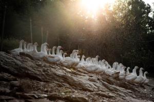 Agriturismo Riva dei Coz