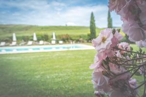 Villa dOrcia - Teloni