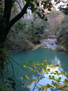 Campings Domaine de Miremer : photos des chambres